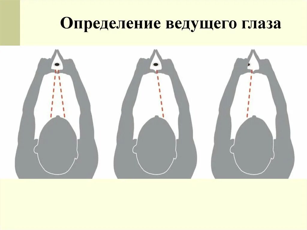 Определение ведущего глаза. Определение доминирующего глаза. Метод определения ведущего глаза. Тест на определение ведущего глаза. Определить на глазок