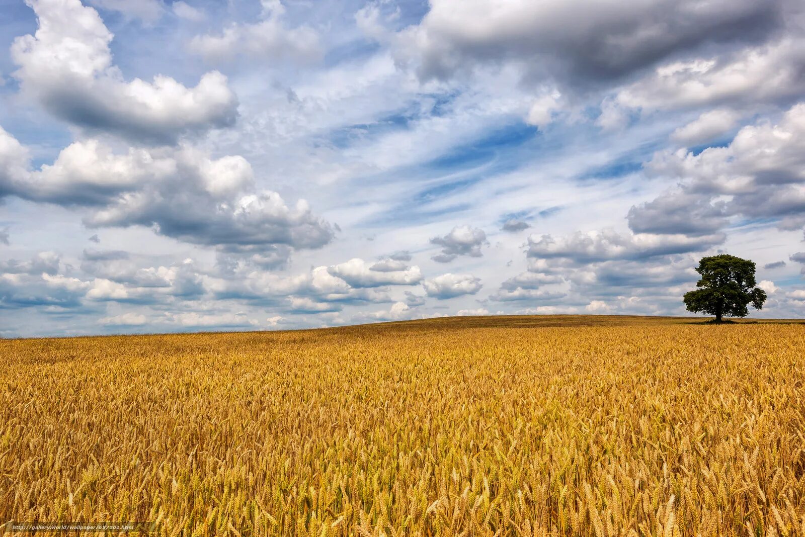 Стог колхун. В поле. Круги на полях. Поле фото. Поле над множеством.