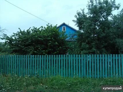 Гуляй борисовка ростовская область
