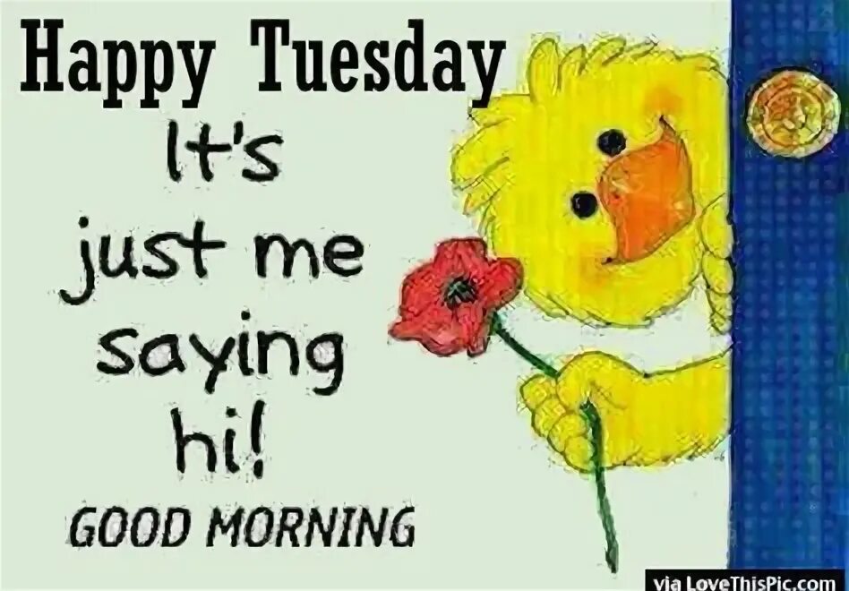 Tuesday doing what on are you. Good morning happy tuesday. i&#039;m just saying. tuesday, the fiftieth if november. happy tuesday heather.