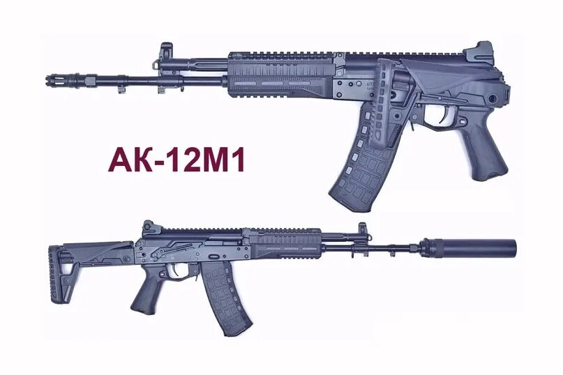 Автоматы АК-12 и АК-15, пистолет Лебедева приняты на вооружение МВД России - Рос