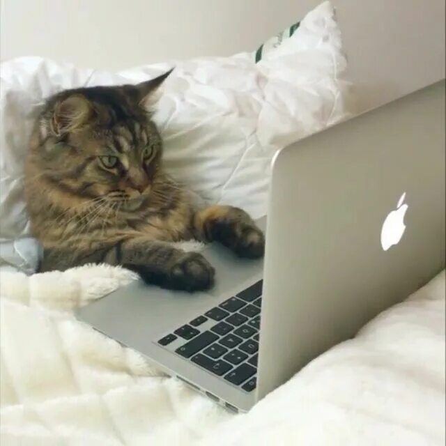 I work on my computer all day