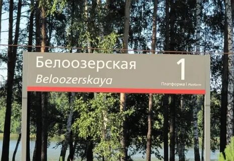 Поддержка белозерское московская область