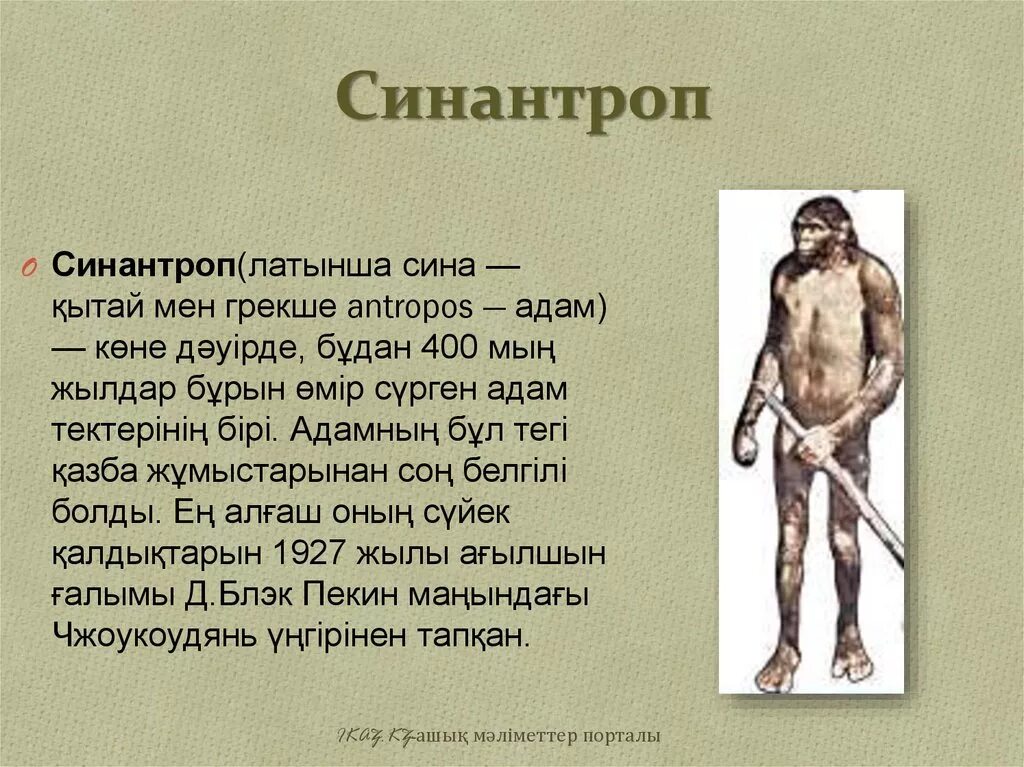 Adam перевод
