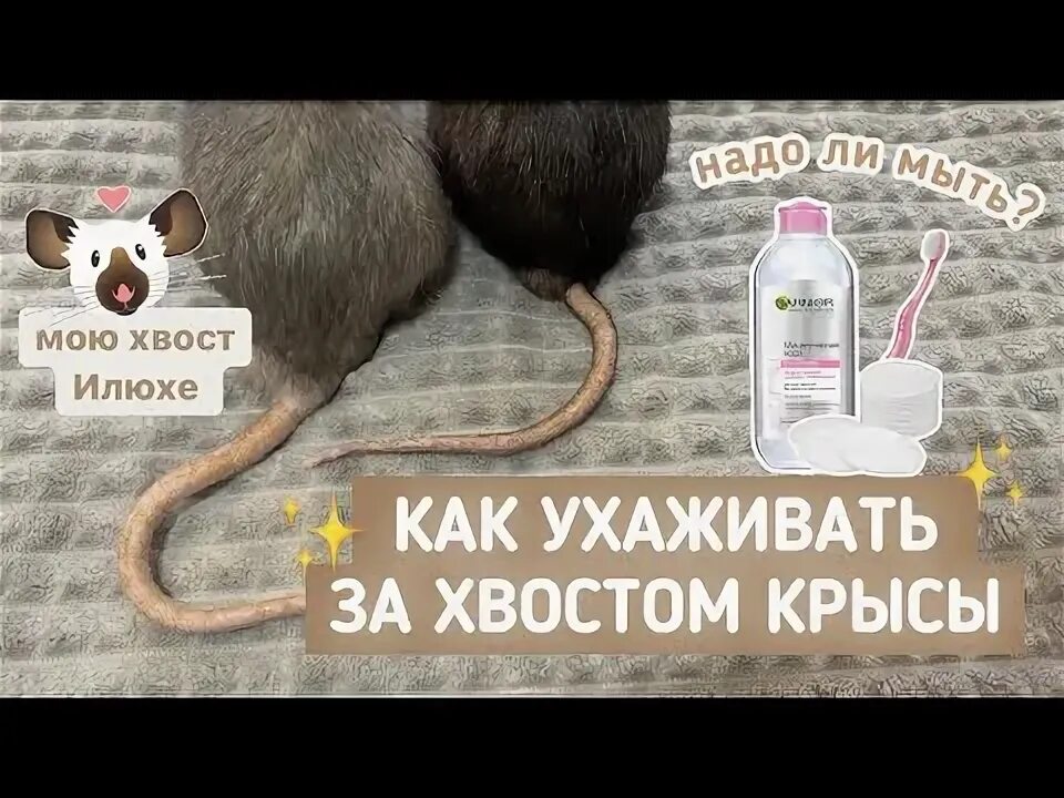 Подчистить хвосты