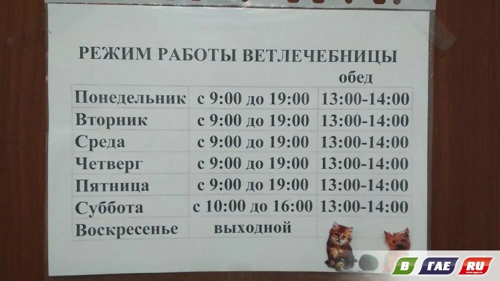 Инженерные системы новотроицк график работы