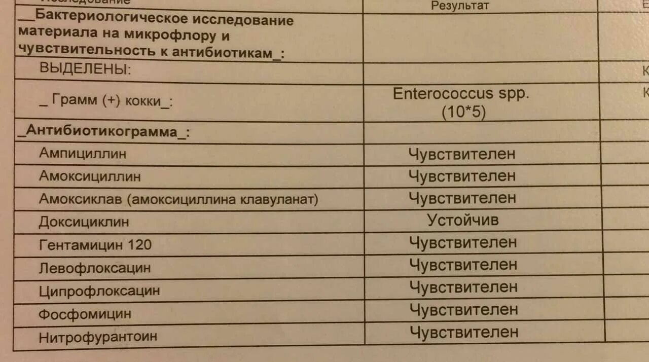 Можно сдавать анализы при приеме антибиотиков. Бак посев на флору и чувствительность к антибиотикам расшифровка. Посев на микрофлору и чувствительность к антибиотикам расшифровка. Бак посев на флору и чувствительность к антибиотикам норма. Анализы на бак посев расшифровка.