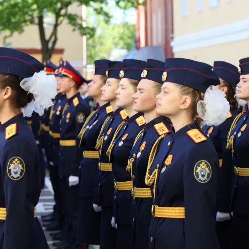 Академия следственного комитета питер. Академия следственного комитета спб. Академия следственного комитета питер. Академия следственного комитета питер. Академия следственного комитета санкт-петербурга.