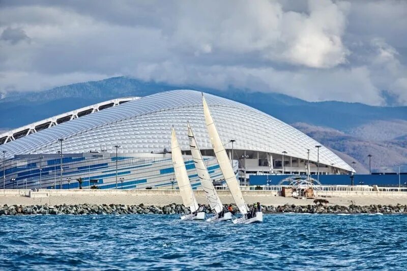 Sochi org