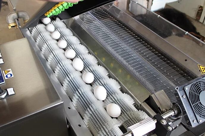 яйцемоечная машина mach. машинка для очистки перепелиных яиц. машинка для яичек. машинки пламенный мотор. оборудование для разбивки яиц.