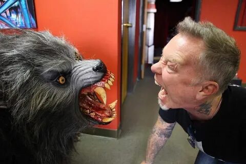 Metallica wolf