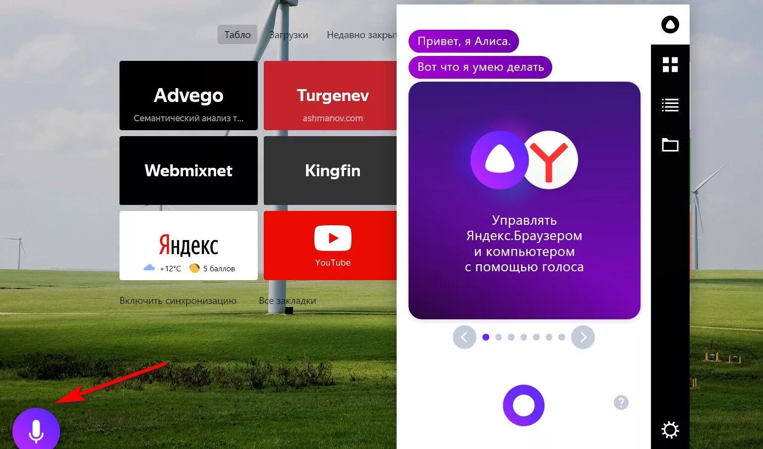 Алиса выключенный экран. Как отключить Алису. Как отключить Алису в Яндексе на компьютере.