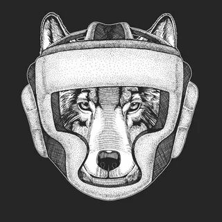 i?id=3b0cd9d2d4e4038fe5e1e8c5067edefd-44