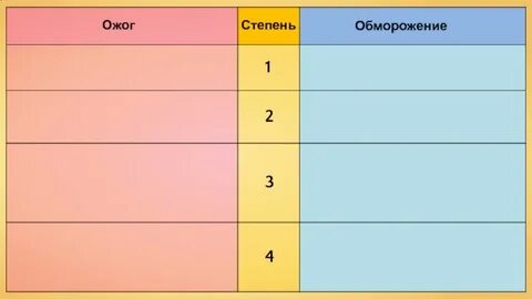 Ожоги биология 8 класс