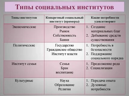 Виды институтов государственной власти