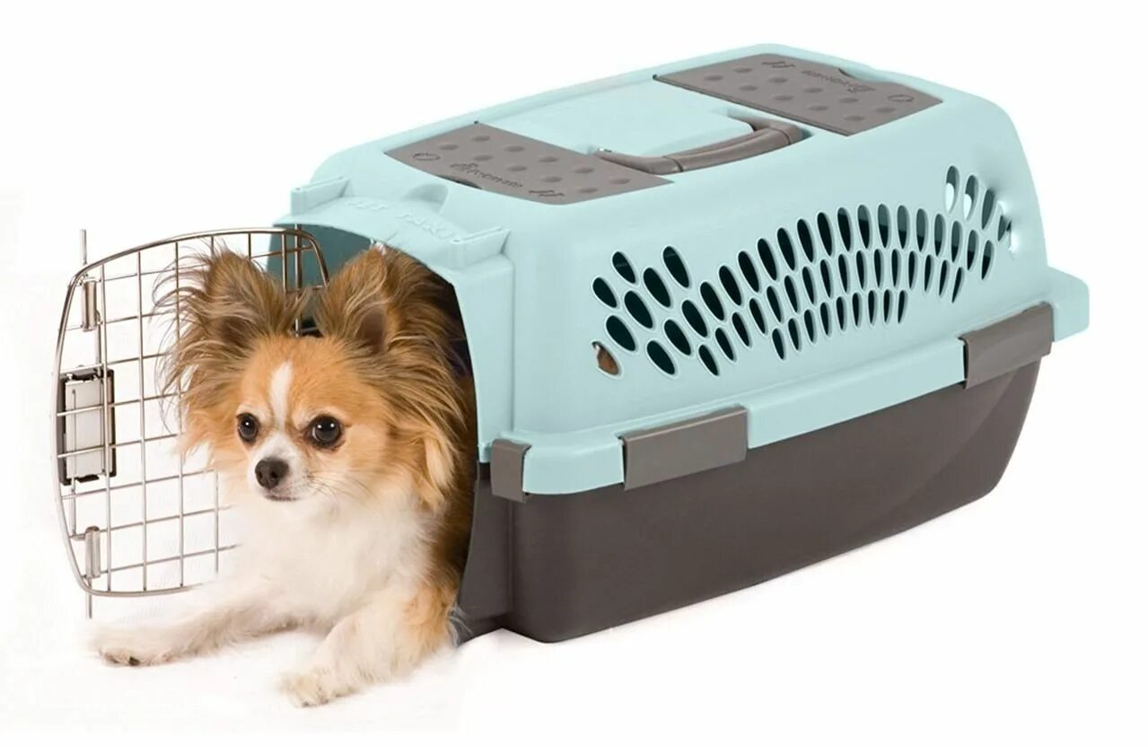 Kineto pet. Переноска Petmate. Переноска Pet Carrier размер 4. Переноска для шпица. Переноски для собак шпицев.