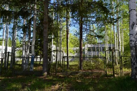 Школа искусств усть илимск сайт