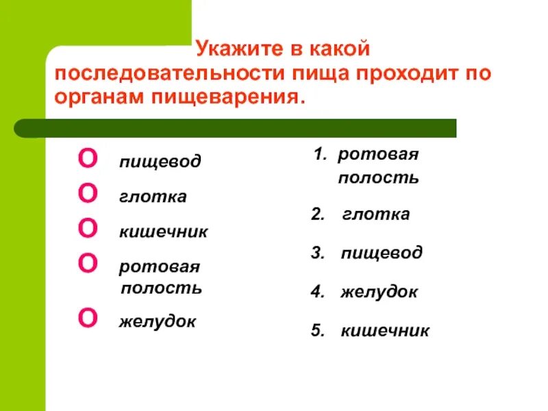 Этапы пищеварения у человека. Последовательность пищи. Последовательность пищи. Последовотельность прохождения пищи по пищева. Последовательность пищи.