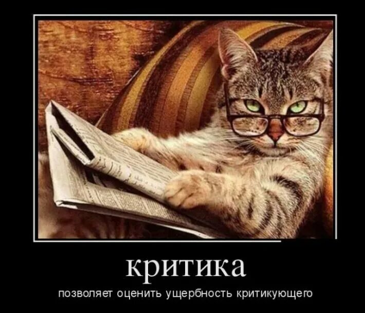 Приколы про умных котов. Критика прикол. Философский котик. Кот в очках с газетой. Критики юмористический