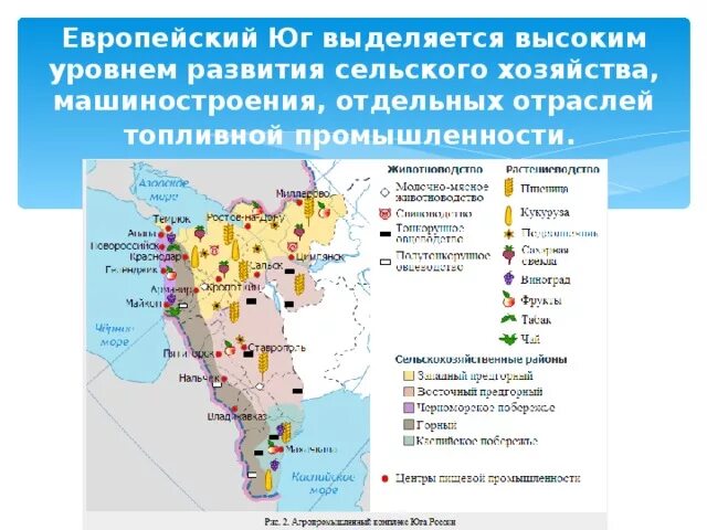 Сельское европейского юга. Европейский юг северный кавказ хозяйство. отрасли специализации промышленности европейского юга. промышленная специализация европейского юга. сельскохозяйственная промышленность европейского юга.