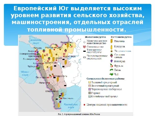 Европейский Юг Северный Кавказ хозяйство. Отрасли специализации промышленности европейского Юга. Промышленная специализация европейского Юга. Сельскохозяйственная промышленность европейского Юга.