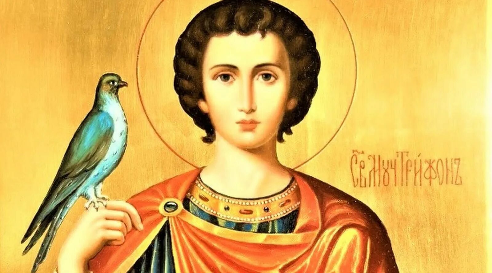 Святого мученика меркурия смоленского икона. Жизнь мученика. Мученик трифон апамейский, никейский. Преподобный ипатий чудотворец икона. Мученик зосим аполлониадский иконы.