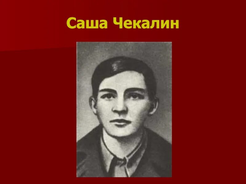 Саша чекалин подвиг. Саша Чекалин герой Великой Отечественной войны 1941-1945. Дети герои войны Саша Чекалин. Чекалин Пионер герой. Саша Чекалин Пионер.