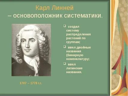 Кто автор систематики