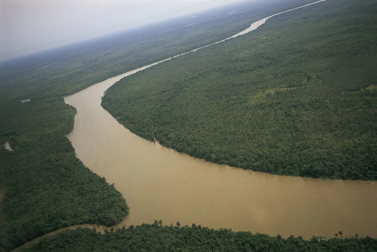 Africa river. Дельта реки нигер, Нигерия. Река Бенуэ. Дельта реки Конго.