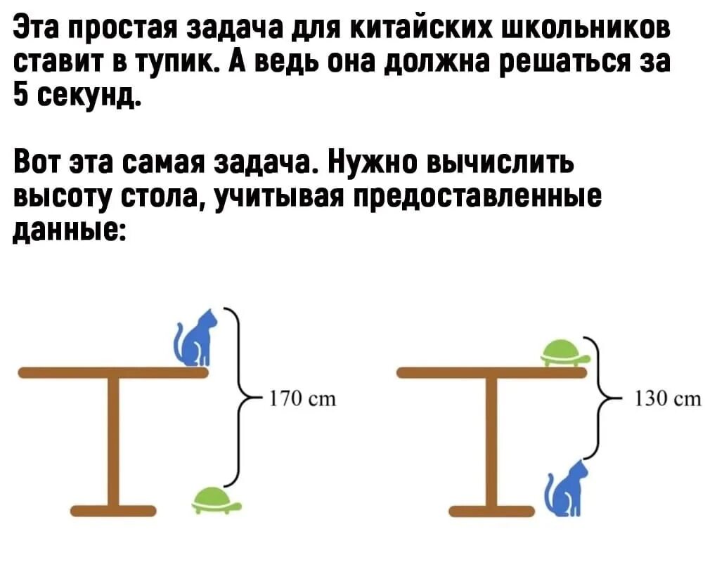 Задача высота стола. Задача про стол кота и черепаху. Высота стооа кошка и Черепаза. Решение задачи про кота и черепаху. Задача про высоту стола.