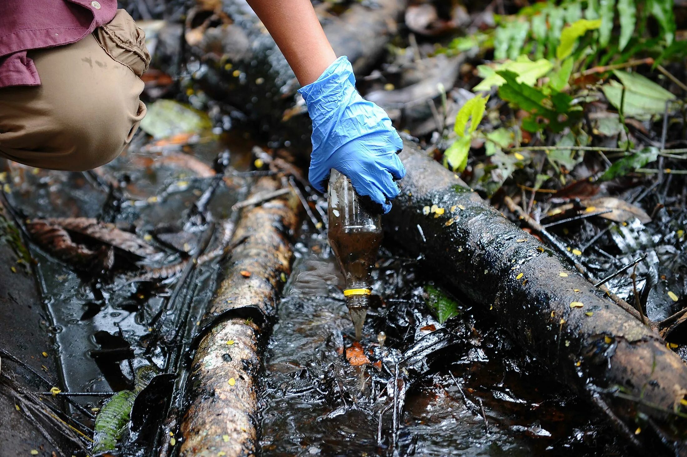 Нанесение окружающей среде. Загрязнение амазонки. Chevron Equador. Чем загрязняется Амазонка.