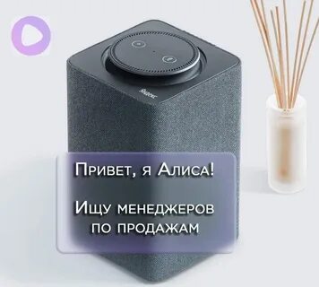 Алиса эльдорадо
