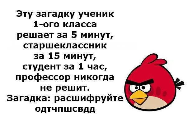 Взрослых ру 18. Загадки для взрослых. Загадки для взрослых смешные. Прикольные загадки с ответами смешные. Шуточные загадки для взрослых.