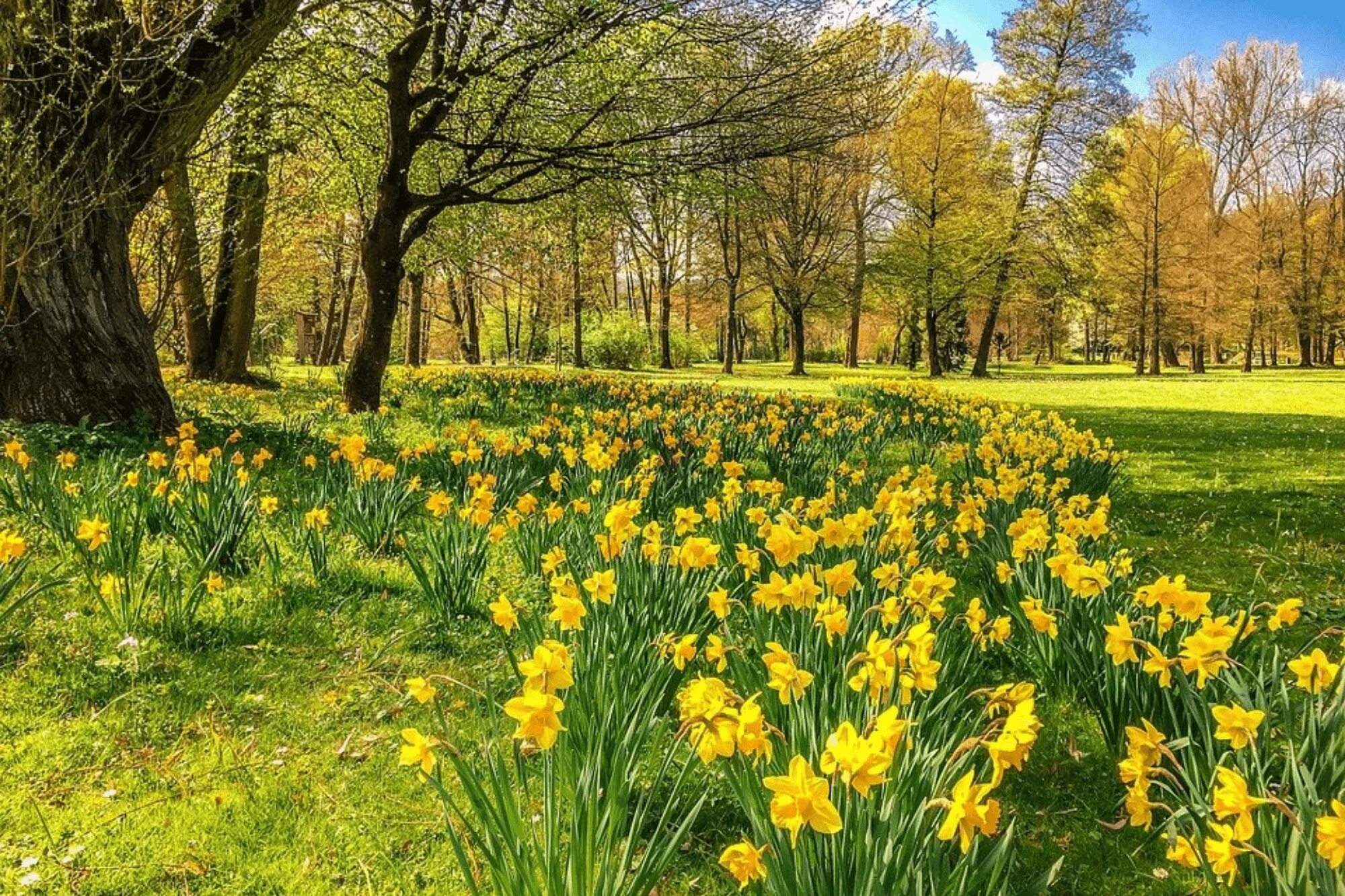 Was the best in spring. Весна. Весна пейзаж. Весна фото. Фотографии весны.