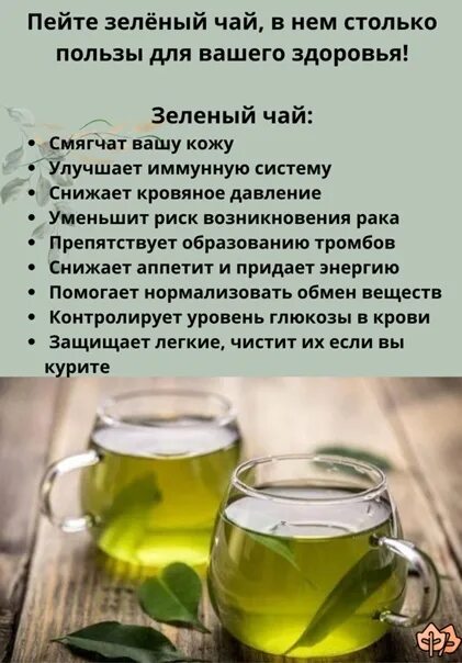 Можно ли зеленый чай при высоком давлении. Зеленый чай понижает давление. Зеленый чай понижающий давление. Снижает ли зеленый чай давление. Зелёный чай понижает давление или нет.