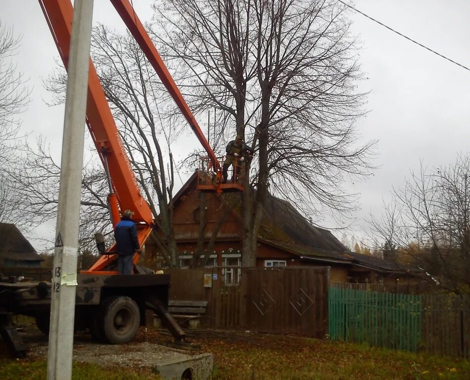 Спил деревьев в ростове. Спил опиловка кронирование. Кронирование деревьев автовышка. Опиловка деревьев Иваново. Спил деревьев автовышкой.