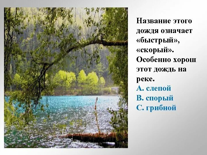 Художественное произведение про дождь. Художественное описание дождя. Слепой дождь описание. Слепой дождь описание 3 класс. Rain на русский язык