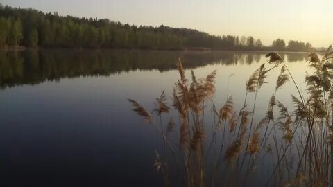 Нарские пруды