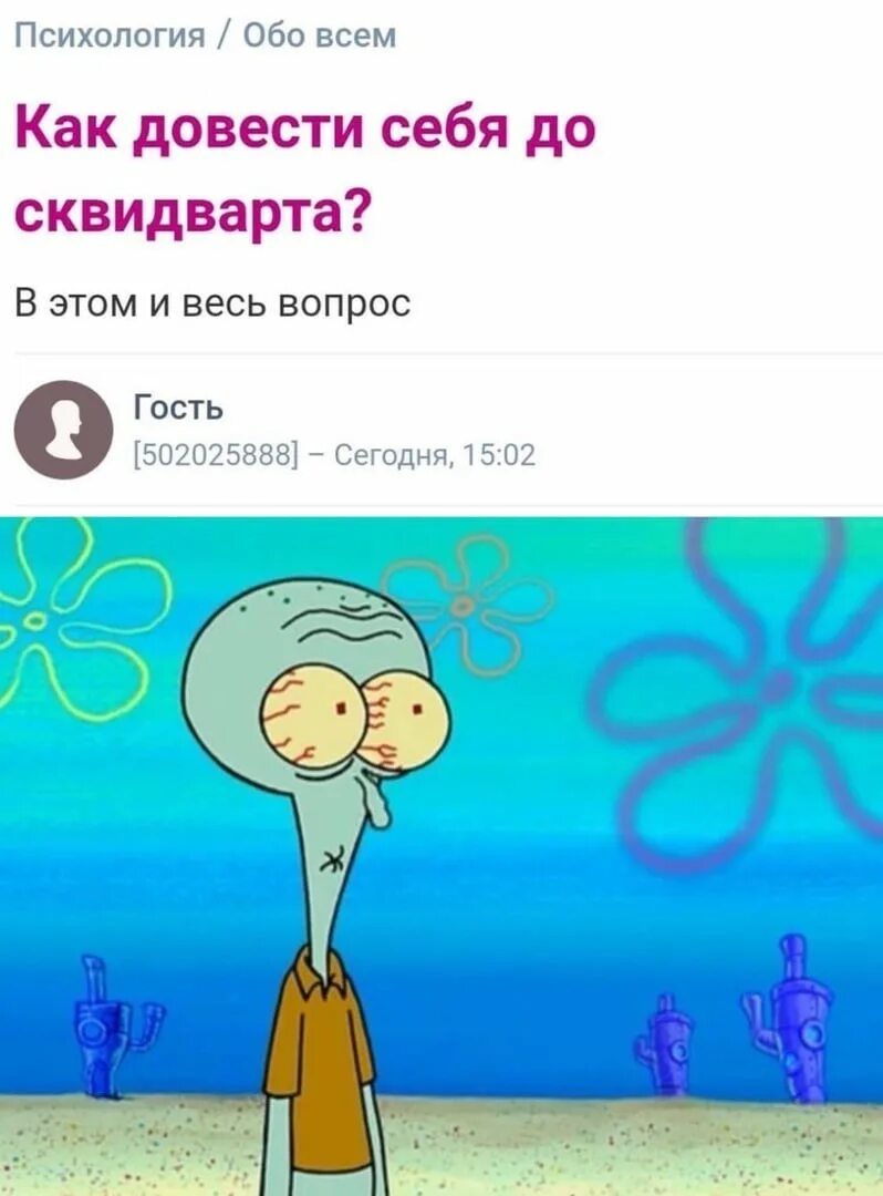 Как довести хозяйку. Картинка как довести до сквидварта. как довести девушку до сквидварда. как.довести себя.дл сквидварта. довести до сквидварта форум.