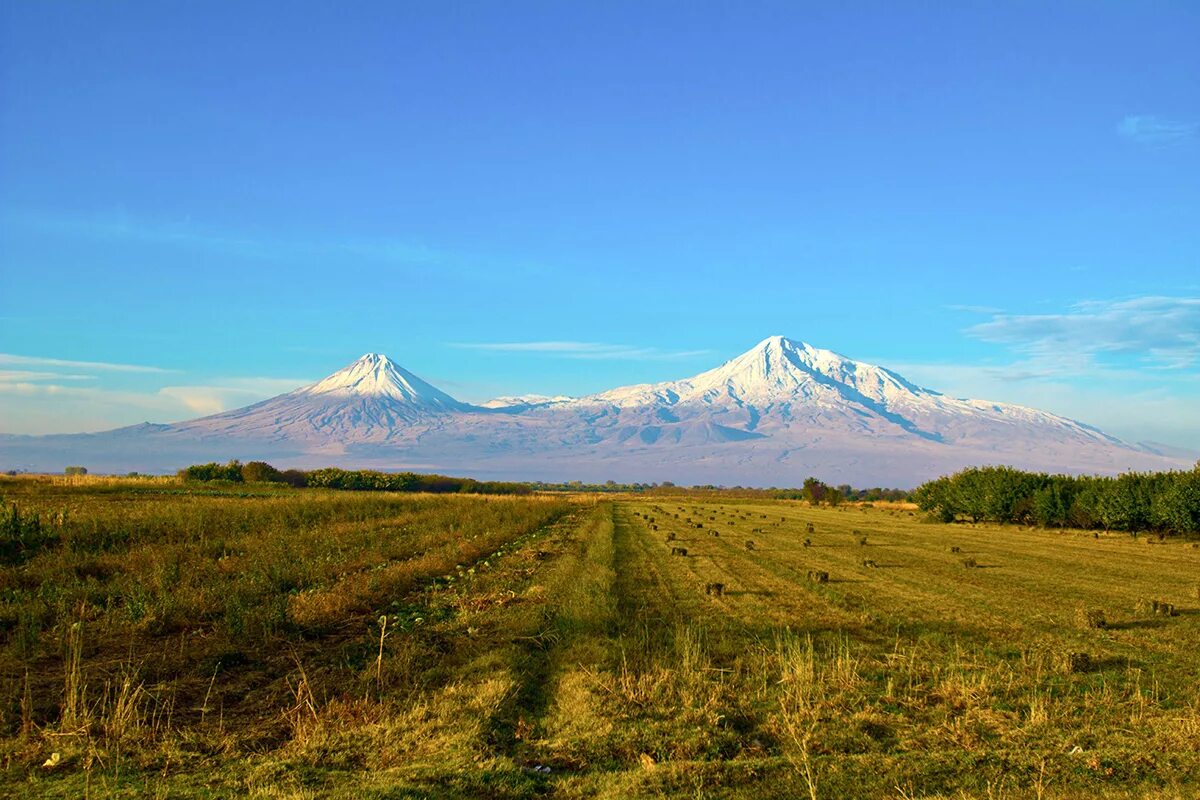 Armenia ararat. Араратская Долина Армения. Гора Арарат в Армении. Долина горы Арарат. Гора Масис Армения.