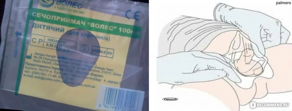 Как собрать мочу у собаки девочки