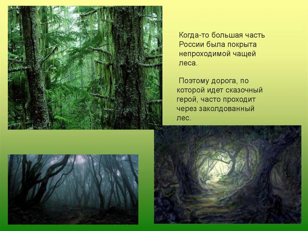 Рассказ о лесе. Осень стихи классиков. Текст про чащу. Стихи про леса. Цепная и параллельная связь в тексте.