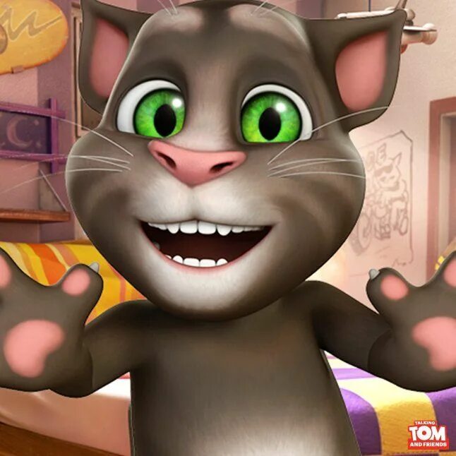 Talking tom cat 2010. Говорящий том машина. Talking tom. Говорящий кот том на машине. Мой том на машине.