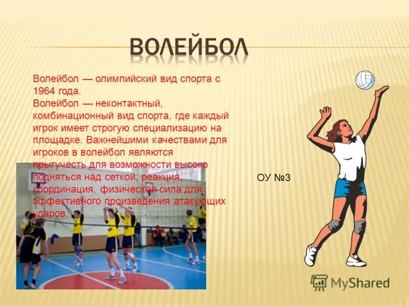 Стандарты по виду спорта волейбол. Не контактрые виды спорта. Стандарты по виду спорта волейбол. Регламент в волейболе. Сообщение о виде спорта волейбол.