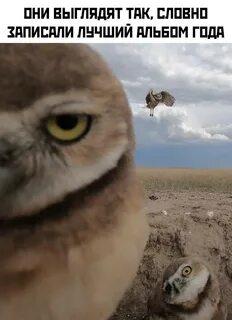 Пятничное. Для определения степени "уравнения" - ЯПлакалъ