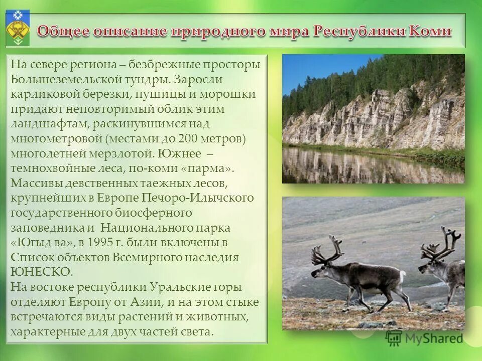 характеристика республики коми. разнообразие природы республики коми. природа коми. географическое описание республики коми. основные сведения о республике коми.