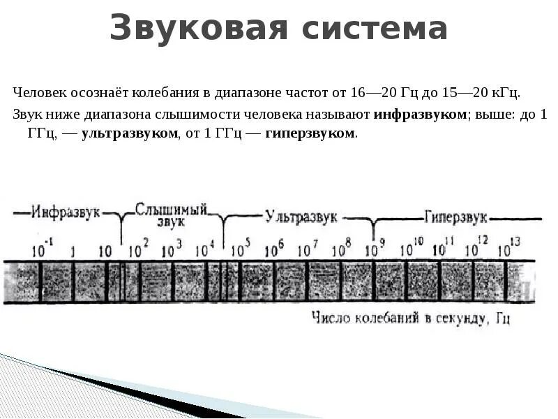 Спектр частот звука. Диапазон частот звука ультразвука и инфразвука. Диапазон слышимости человека. Звук 20 КГЦ. Звук частотой 20 кгц