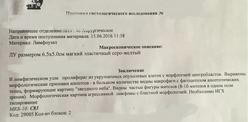 Патологическое гистологическое заключение. Гистологическое исследование заключение. Протокол исследования гистологического исследования. Заключение по результатам гистологического исследования.