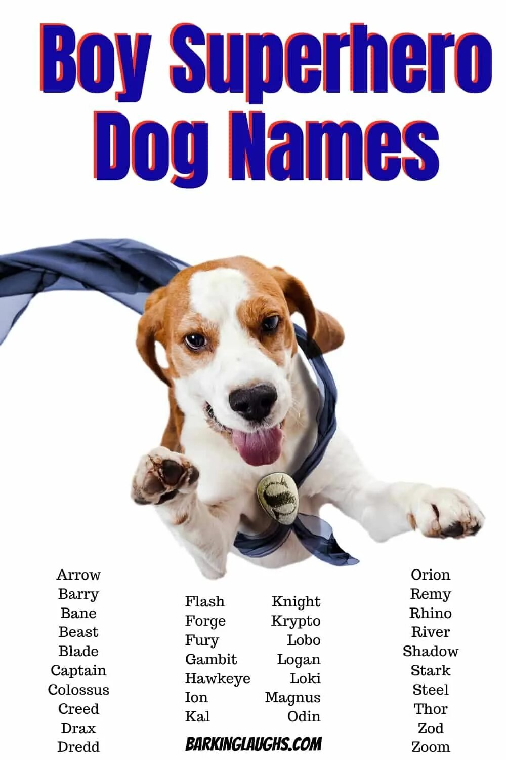 Имена для собак. Имена для собак мальчиков. Собачьи имена для мальчиков. Кличка для щенка. Dogs s names are