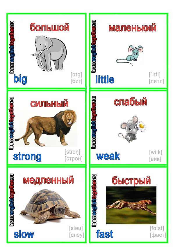 Сильный и слабый язык. Противоположности на английском для детей. Прилагательные на английском для детей. Карточки на английском для детей. Карточки антонимы на английском языке.